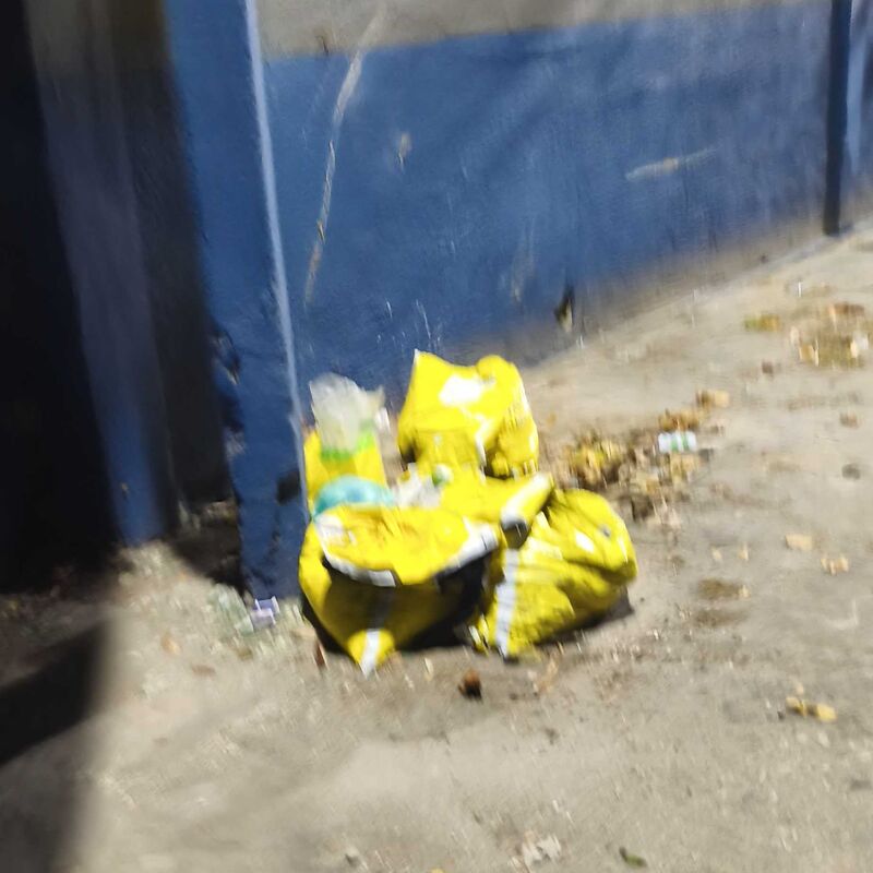 Imagem da publicação
