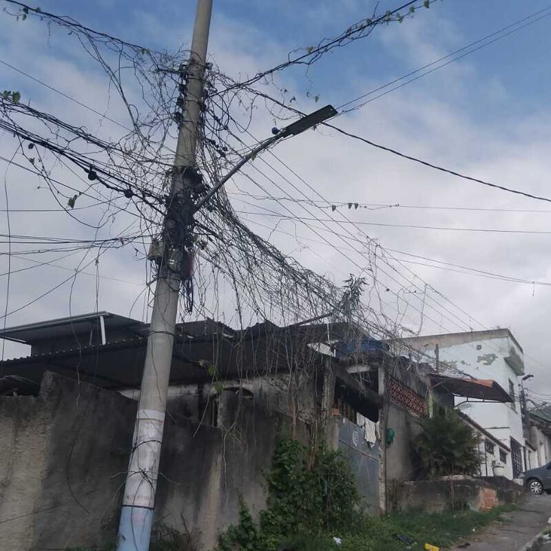 Imagem da publicação