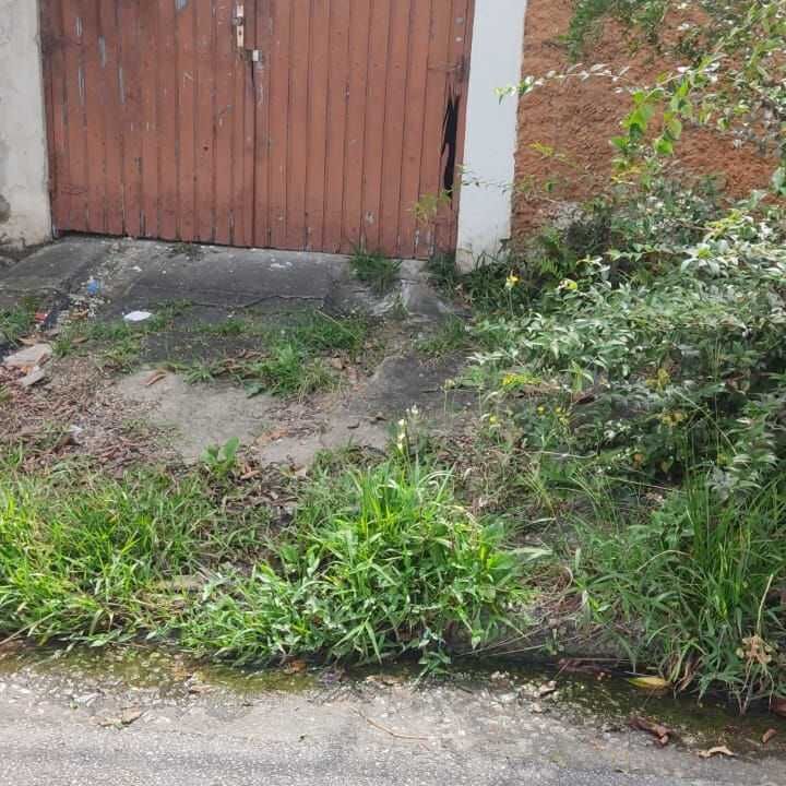 Imagem da publicação