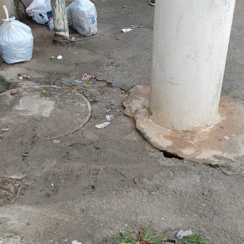 Imagem da publicação