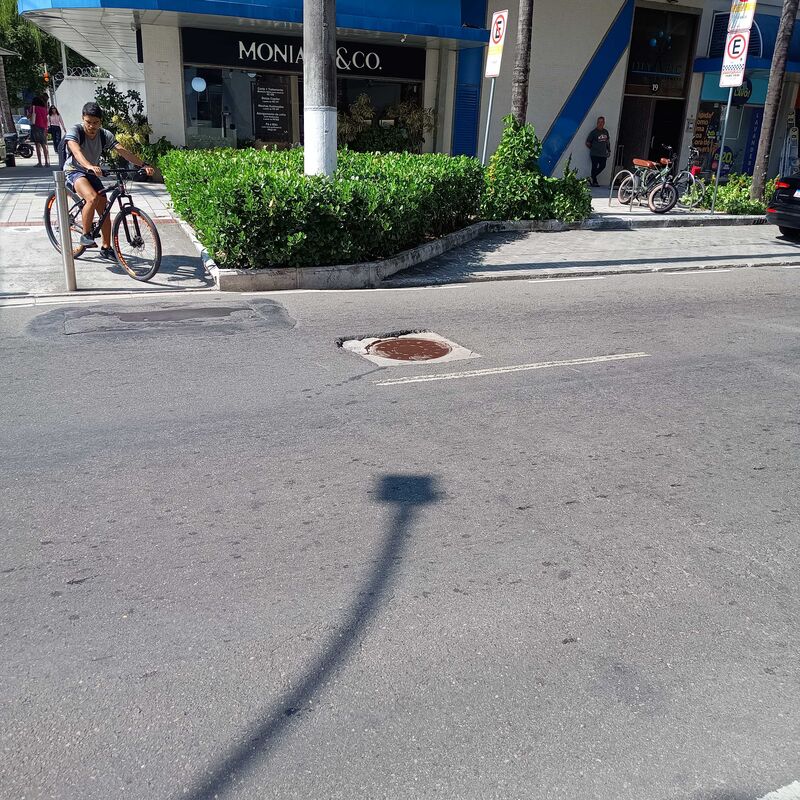 Imagem da publicação