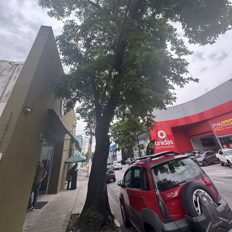 Imagem da publicação