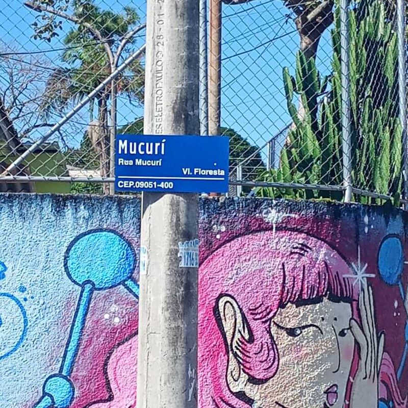 Imagem da publicação
