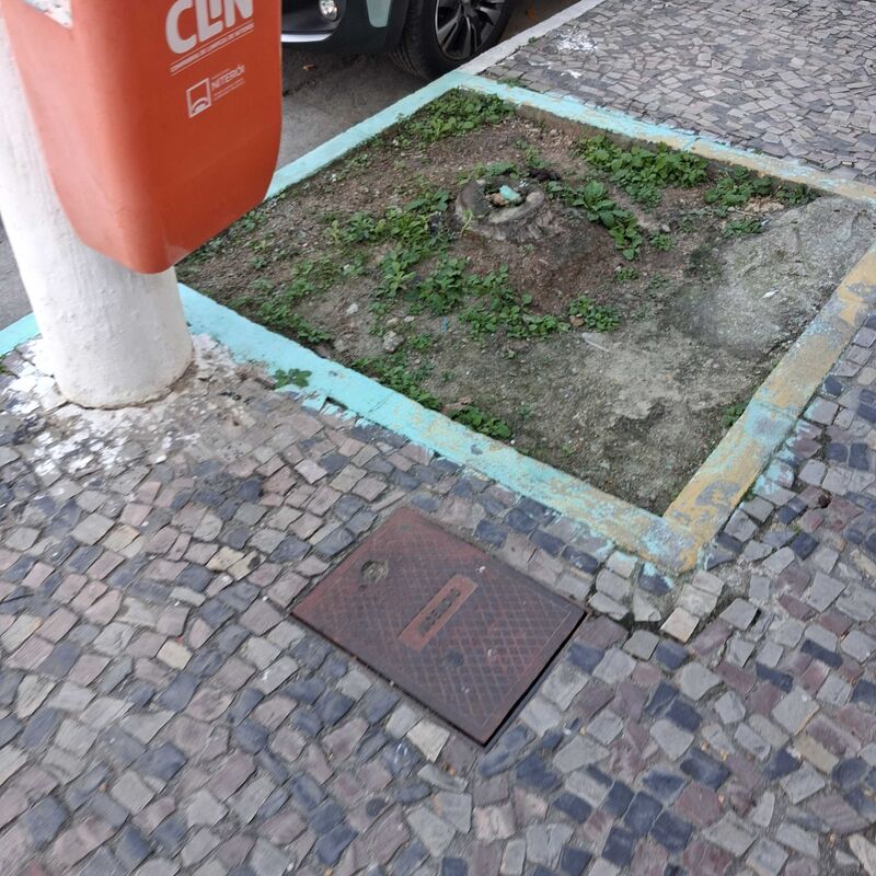 Imagem da publicação