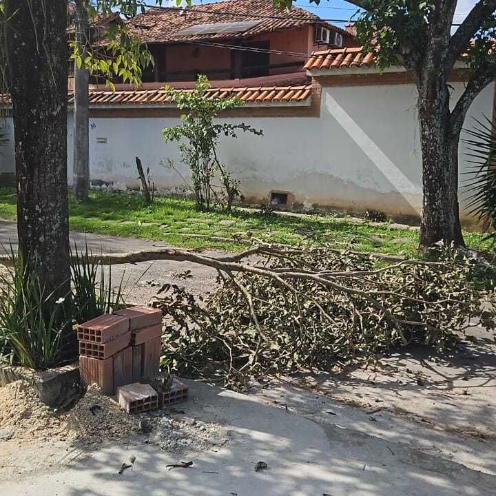 Imagem da publicação