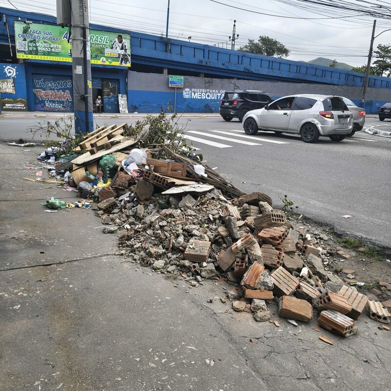 Imagem da publicação