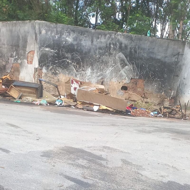 Imagem da publicação