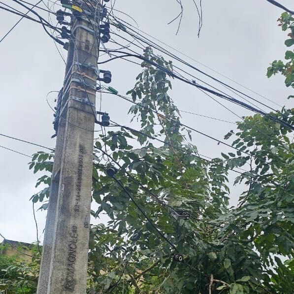 Imagem da publicação