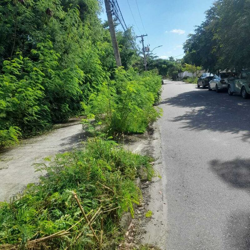 Imagem da publicação