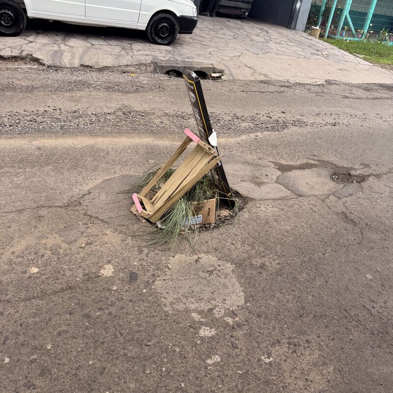 Imagem da publicação