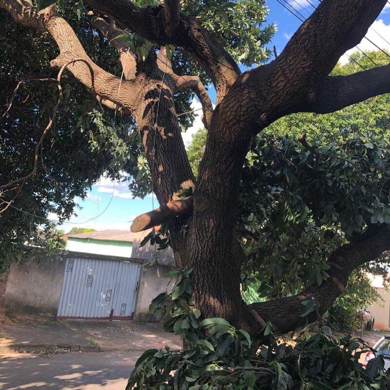 Imagem da publicação