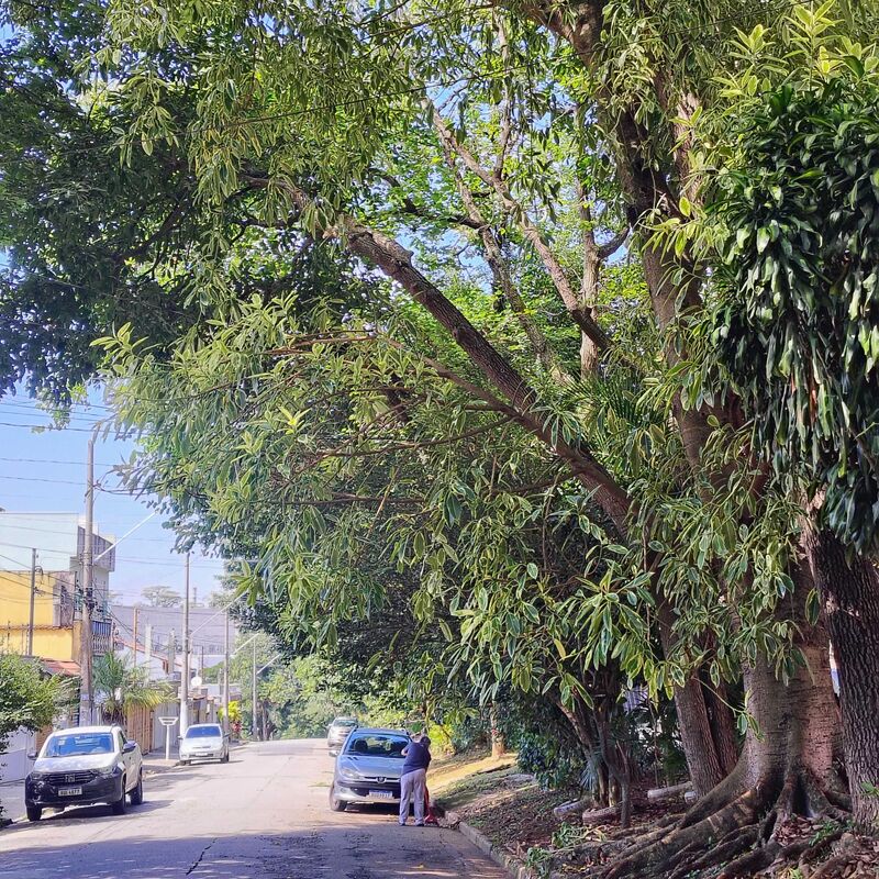 Imagem da publicação