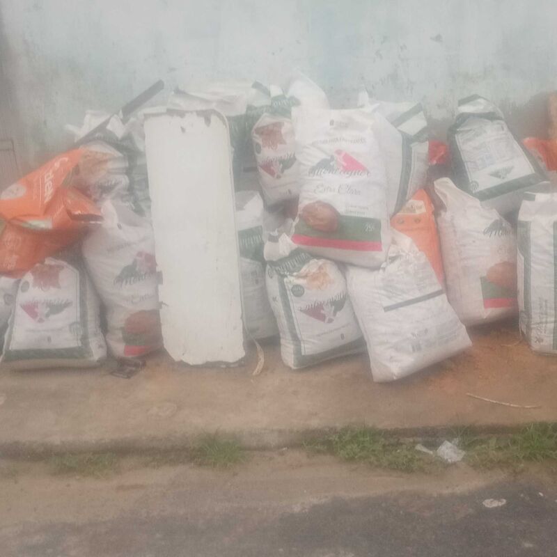 Imagem da publicação