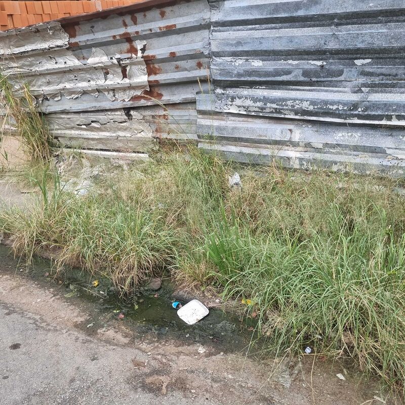 Imagem da publicação