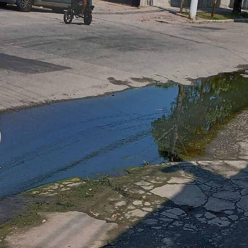 Imagem da publicação