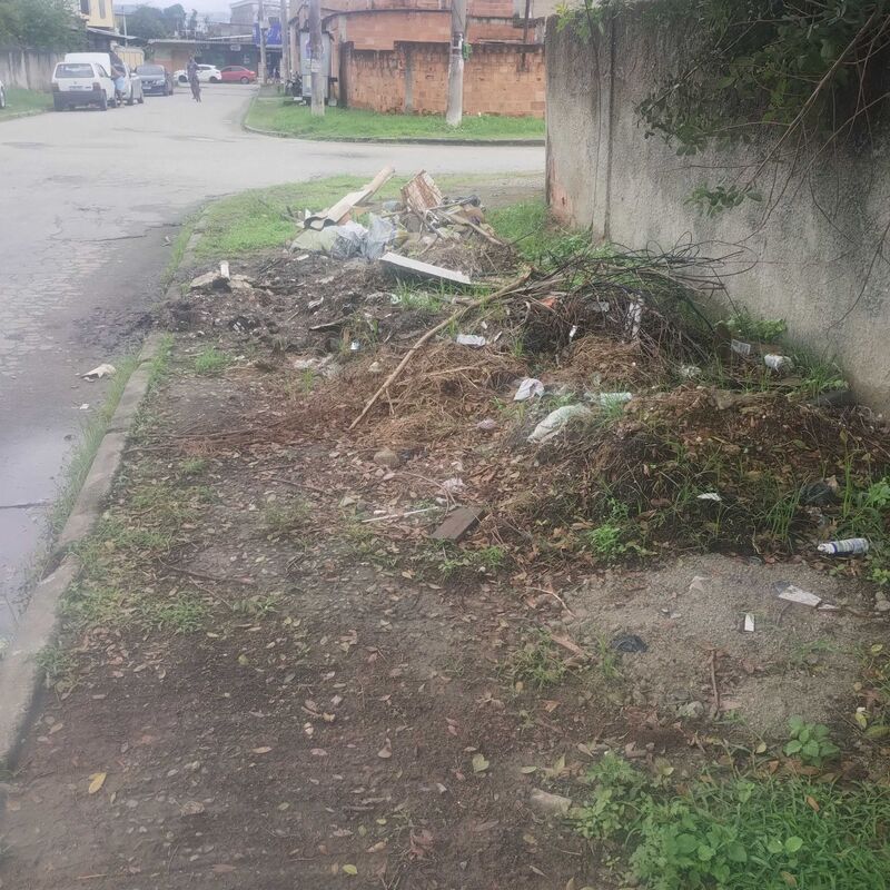 Imagem da publicação