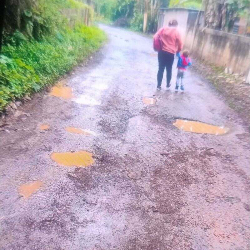 Imagem da publicação
