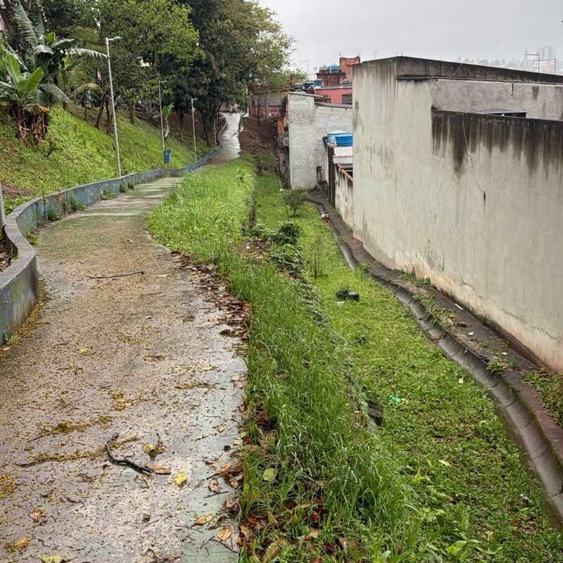 Imagem da publicação