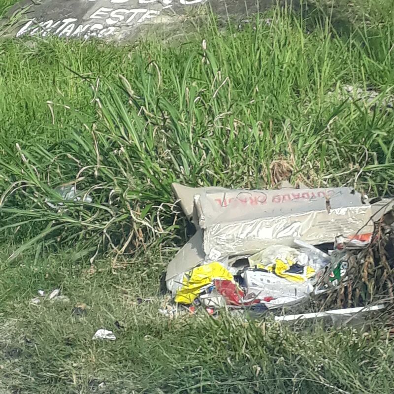 Imagem da publicação