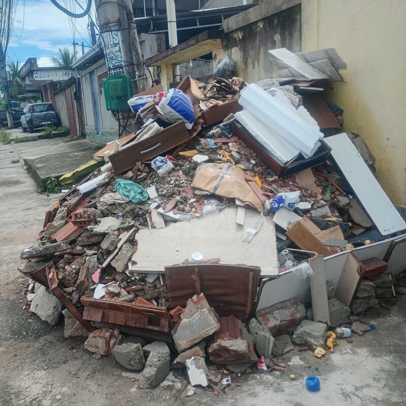 Imagem da publicação