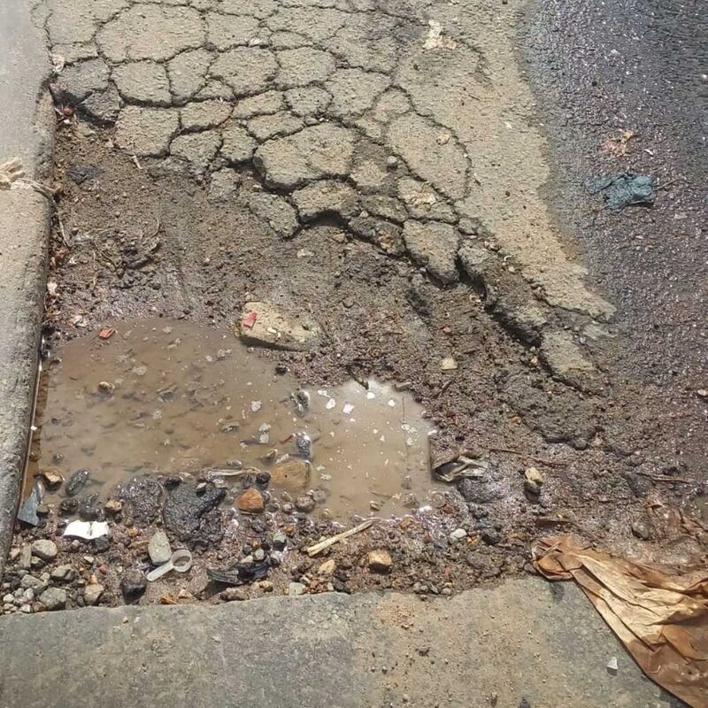 Imagem da publicação