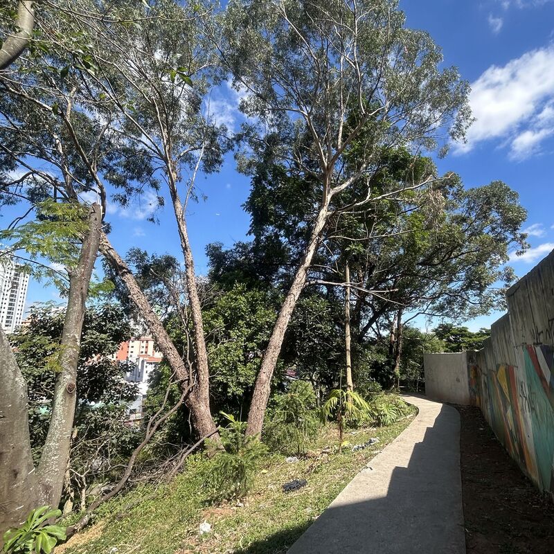 Imagem da publicação