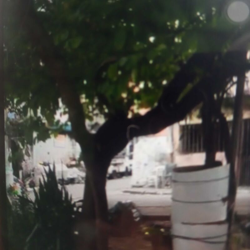 Imagem da publicação