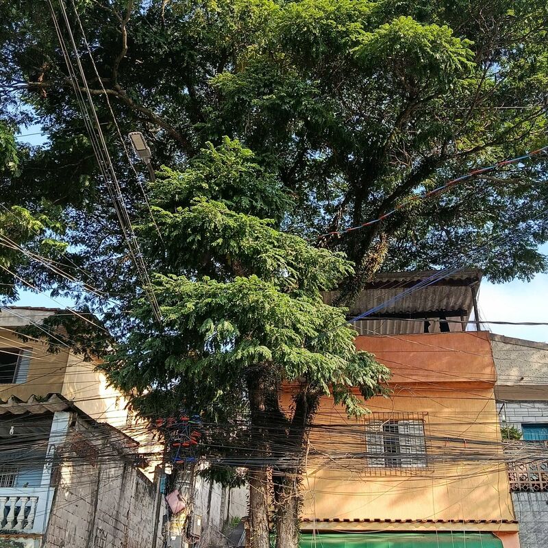 Imagem da publicação