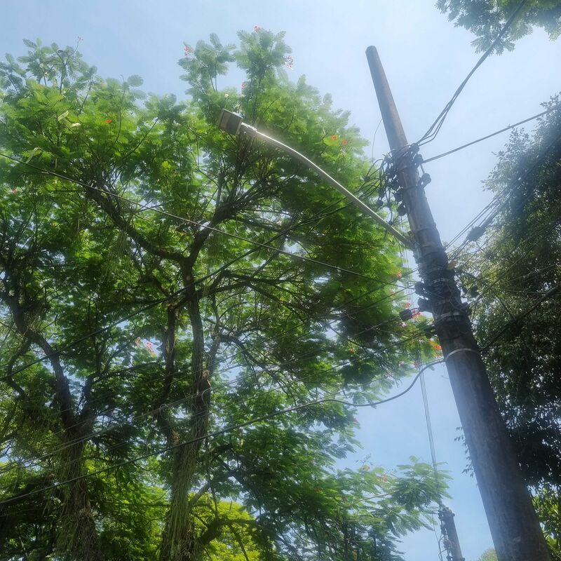 Imagem da publicação