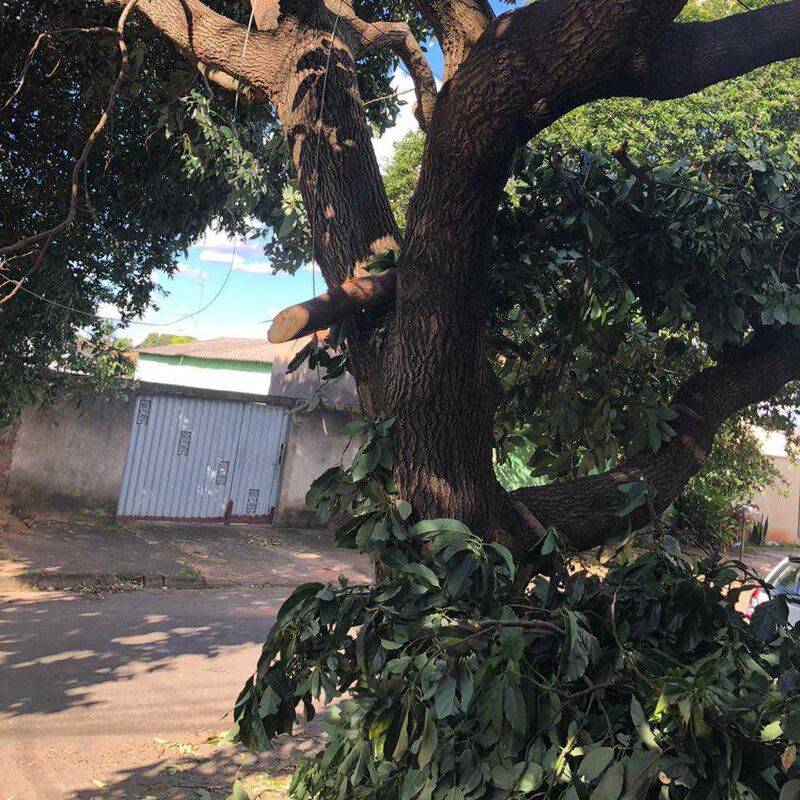 Imagem da publicação