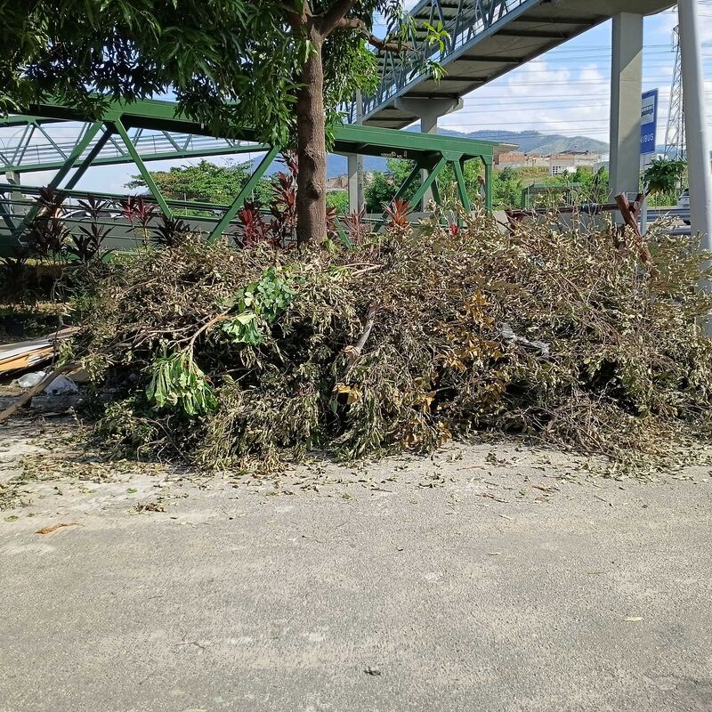 Imagem da publicação