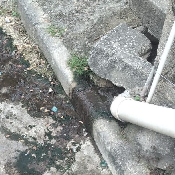 Imagem da publicação