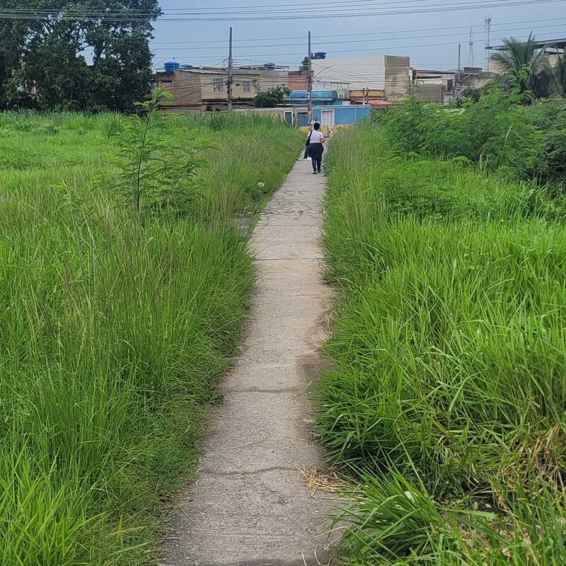 Imagem da publicação