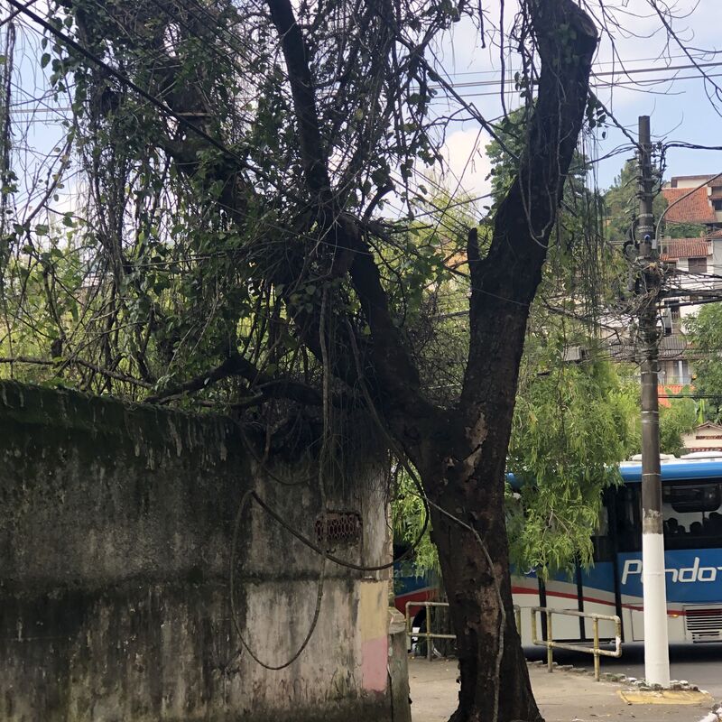 Imagem da publicação