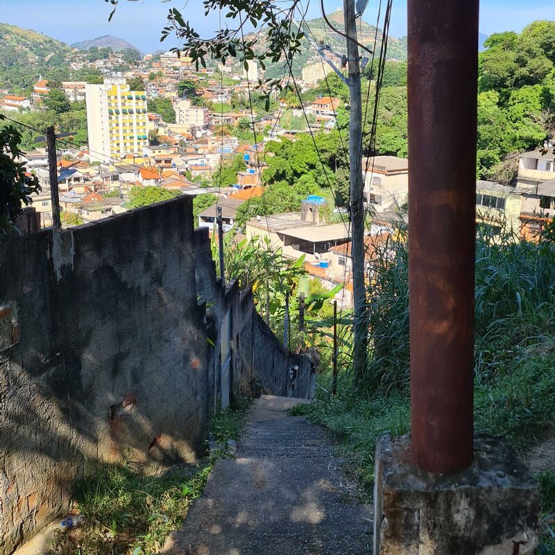Imagem da publicação