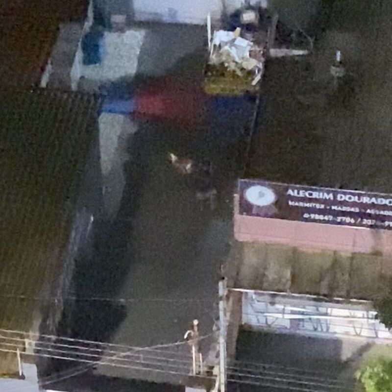 Imagem da publicação