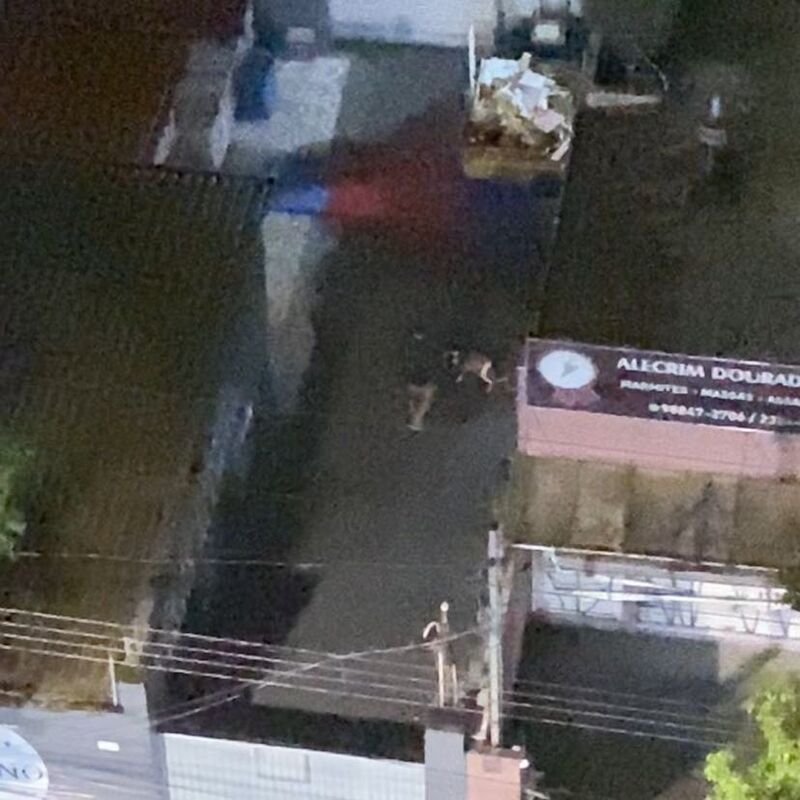 Imagem da publicação