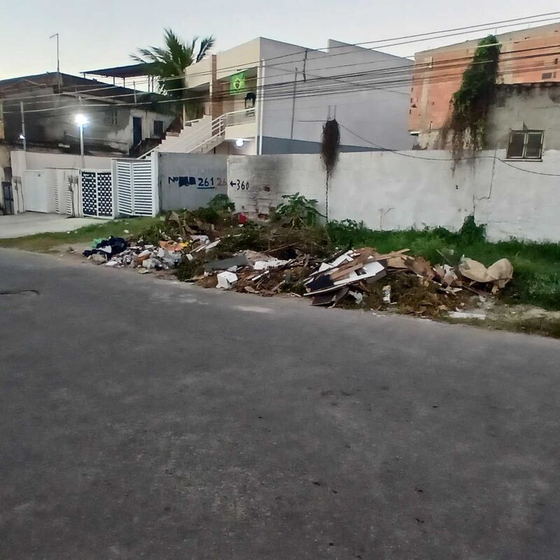 Imagem da publicação