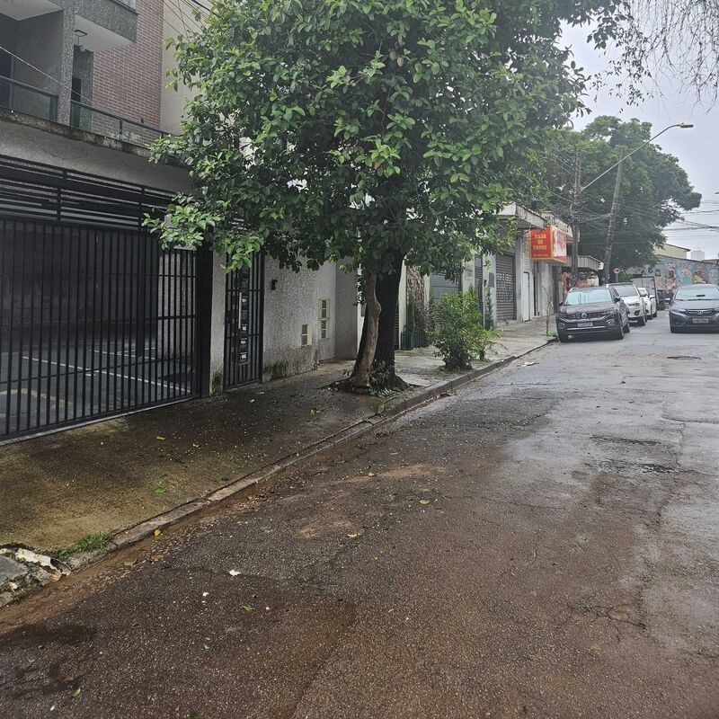 Imagem da publicação
