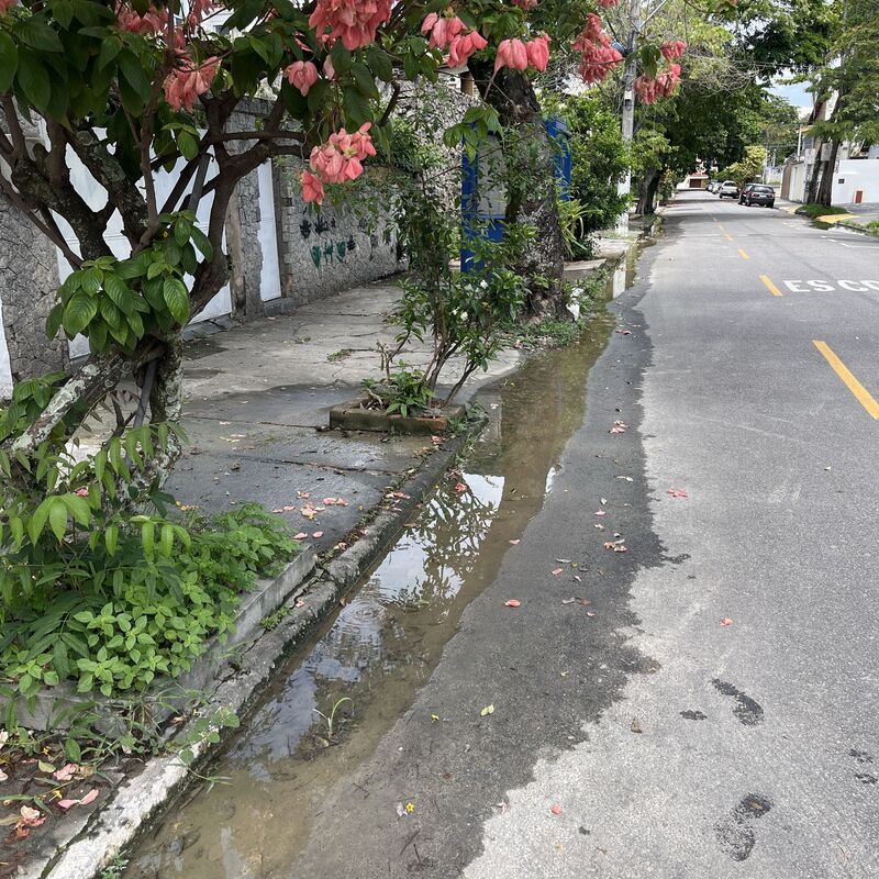 Imagem da publicação