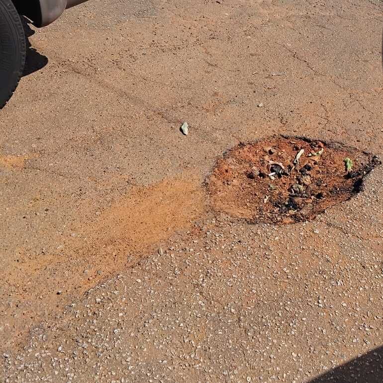 Imagem da publicação