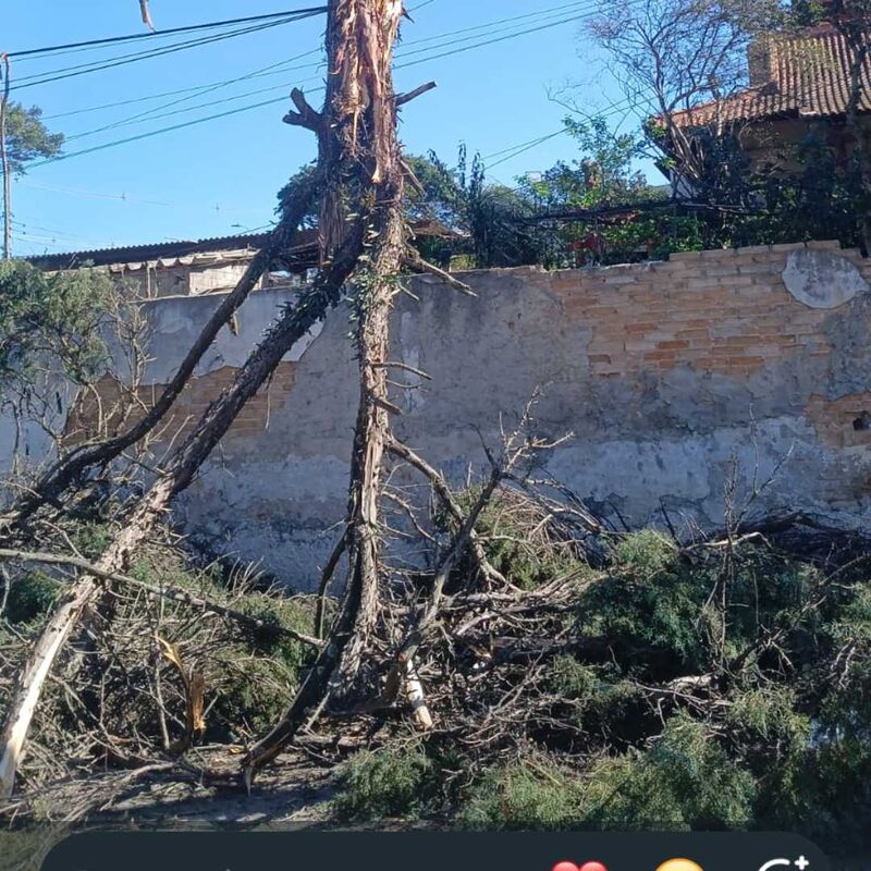 Imagem da publicação