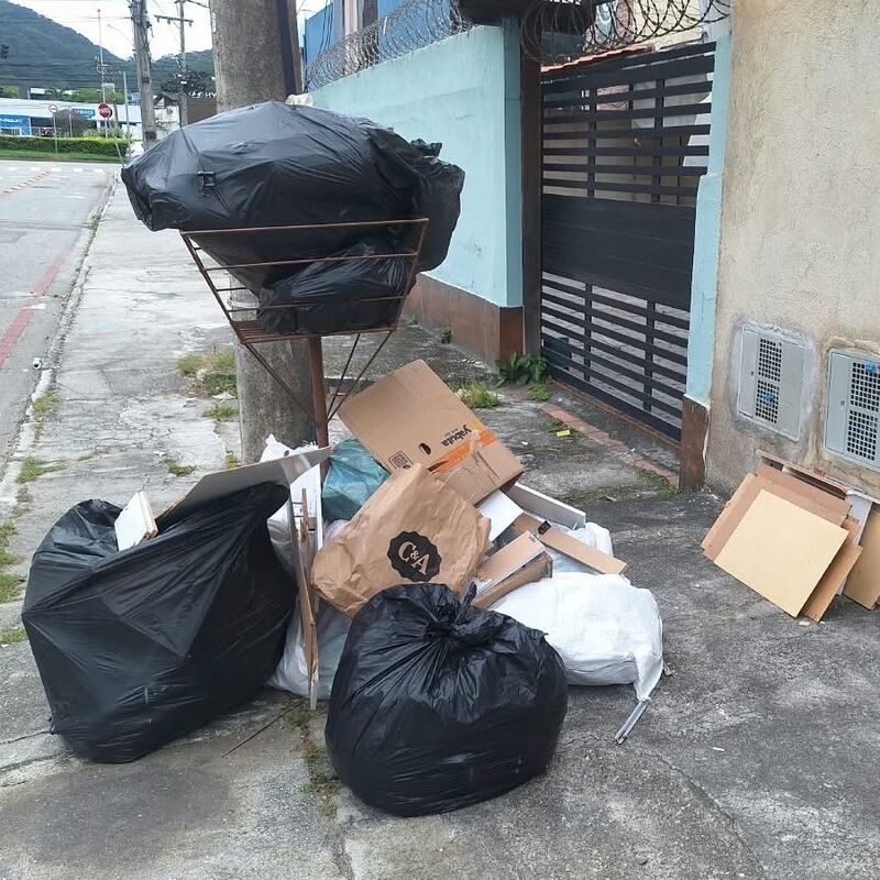 Imagem da publicação