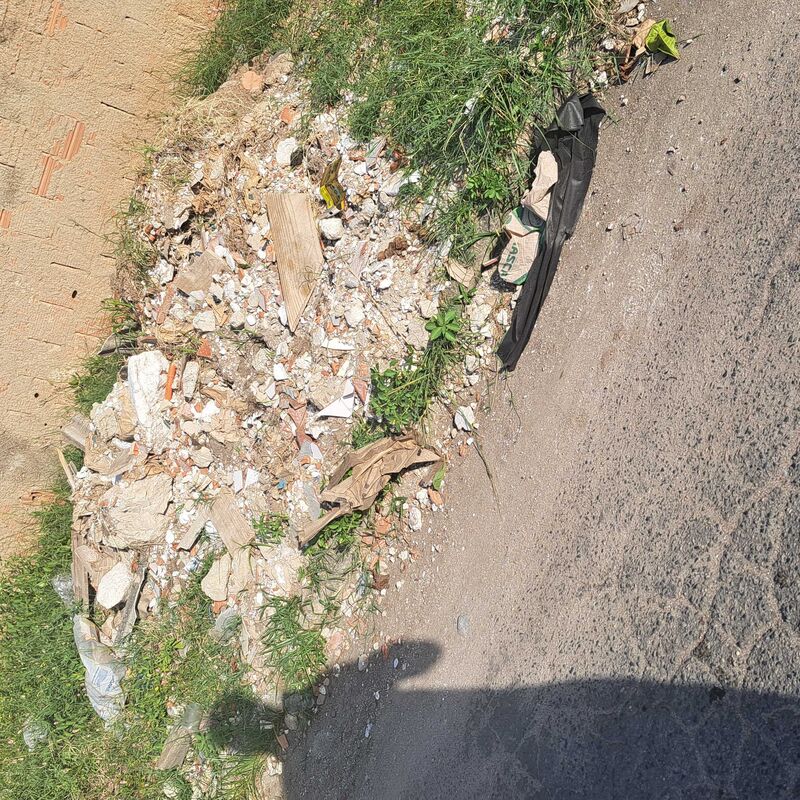 Imagem da publicação