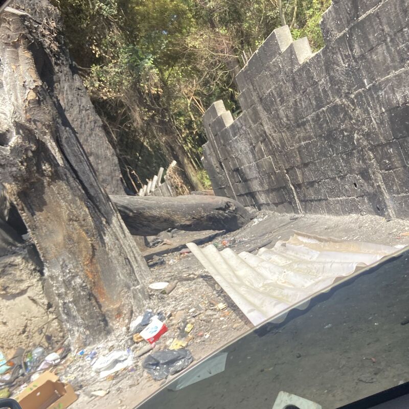 Imagem da publicação