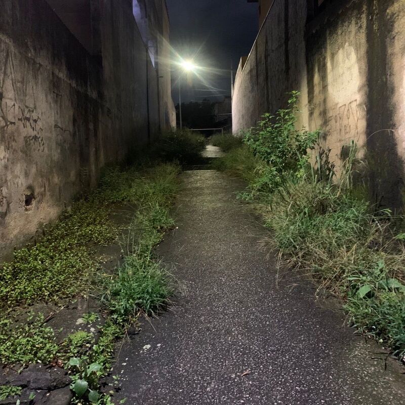 Imagem da publicação