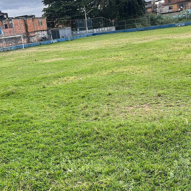 Imagem da publicação