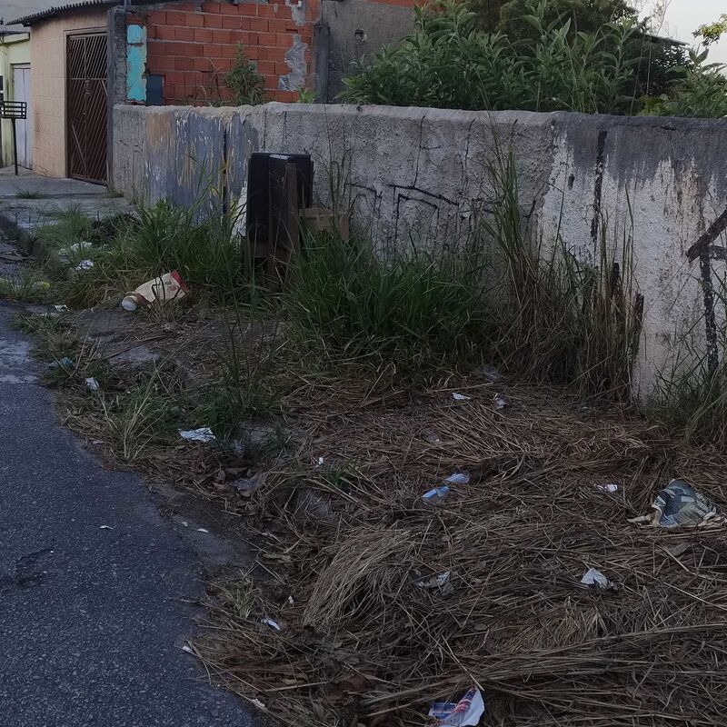 Imagem da publicação