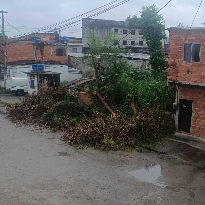 Imagem da publicação