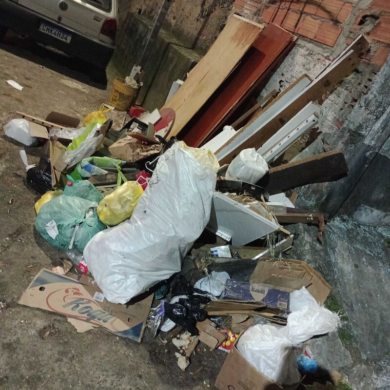 Imagem da publicação
